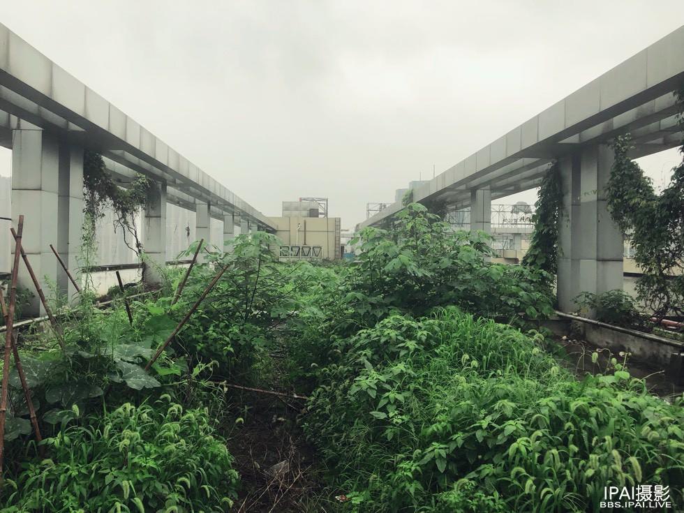 成都武侯区商务伴游的简单介绍